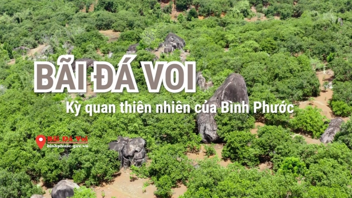 Kỳ quan thiên nhiên Bãi Đá Voi